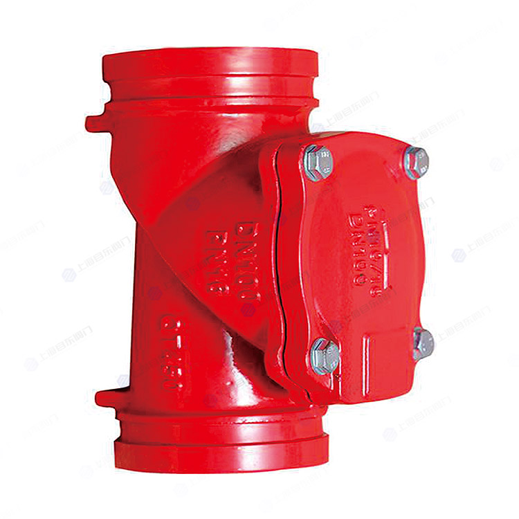 沟槽橡胶瓣止回阀