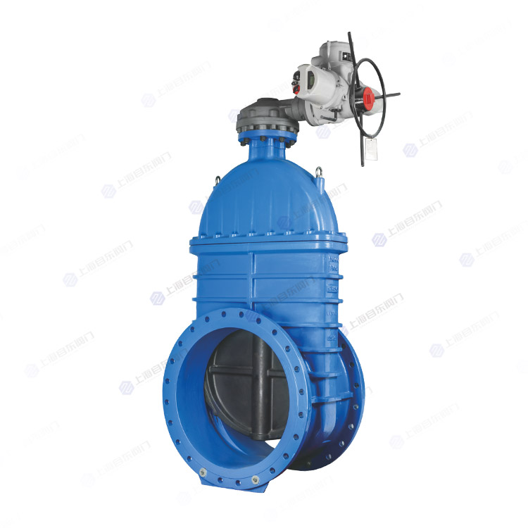 电动闸阀